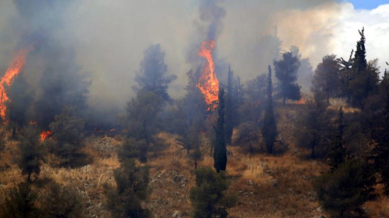 Σε εξέλιξη πυρκαγιά στη Λέσβο