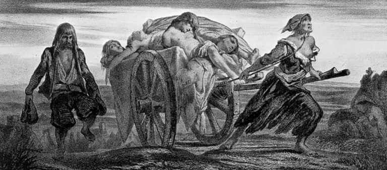 Αφρικανική πανώλη: «Θερίζει» χοίρους στην Κίνα, αυξάνει την τιμή στο σουβλάκι & μπορεί να επαναφέρει τον «Μαύρο Θάνατο»