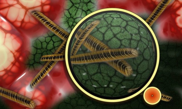 Παγκόσμιος τρόμος για επικίνδυνο μικρόβιο – Τι σχέση έχουν τα ξενοδοχεία