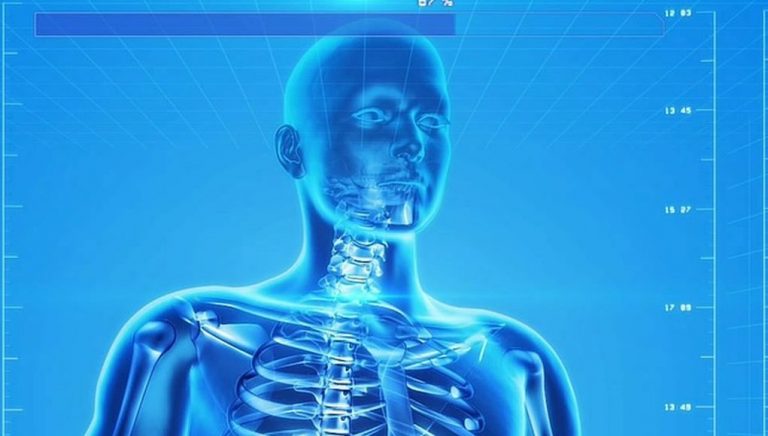 Επιστήμονες δημιούργησαν διάφανα ανθρώπινα όργανα