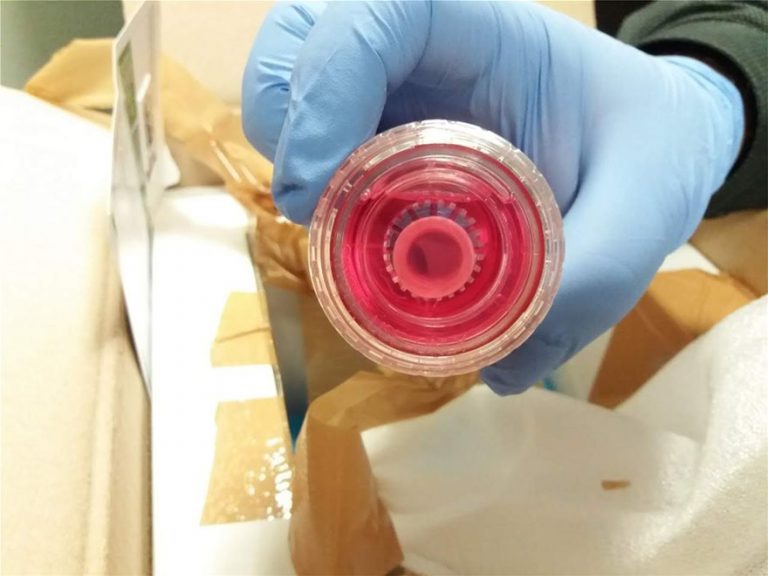 Τελωνειακοί σταμάτησαν εμπόριο οργάνων στο αεροδρόμιο «Μακεδονία»