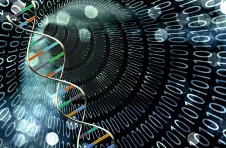 Το πρώτο γονιδίωμα έμβιου οργανισμού με τη βοήθεια υπολογιστή είναι γεγονός