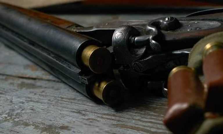 ΗΠΑ: Σκύλος πάτησε κυνηγετικό όπλο στο πίσω κάθισμα αυτοκινήτου και σκότωσε τον ιδιοκτήτη του