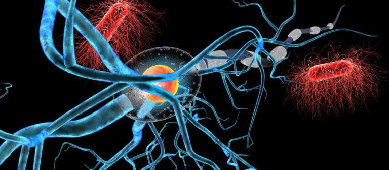 Πιο διάσημο αλλαντικό συσχέτισαν οι επιστήμονες με τον καρκίνο: Ακόμα και μια λεπτή φέτα την ημέρα βλάπτει!