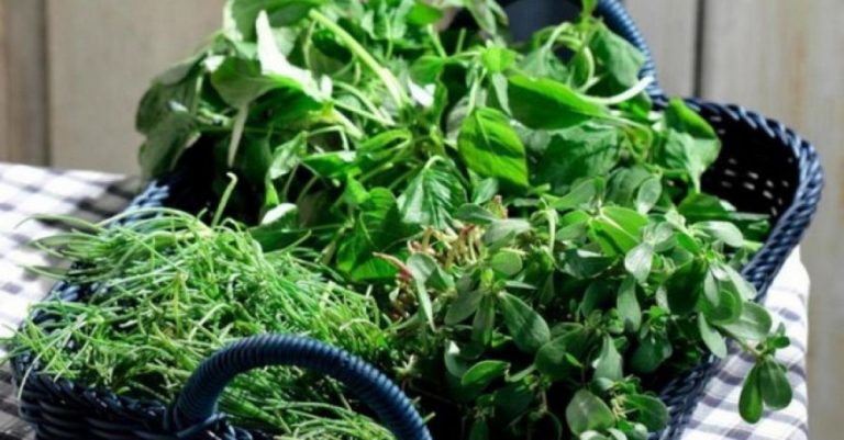 Στο σκαμνί 80χρονη στην Κατερίνη γιατί πουλούσε χόρτα σε λαϊκή αγορά