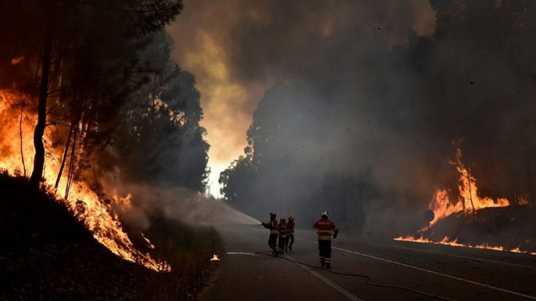 Τουλάχιστον 24 νεκροί σε δασική πυρκαγιά στην Κίνα