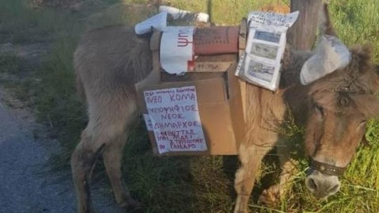 Εγκατέλειψαν γαϊδουράκι με “κάλπη” χωρίς νερό & φαγητό