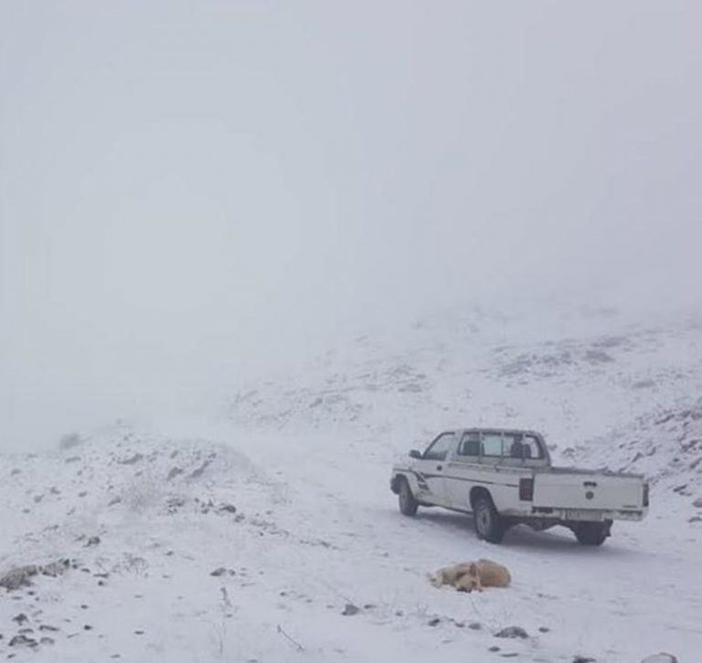 Κατάλευκο τοπίο από το χιόνι έστησε ο καιρός στα Ιωάννινα