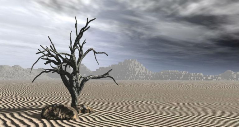 ΟΗΕ: Κίνδυνος για την ανθρωπότητα η καταστροφή της βιοποικιλότητας