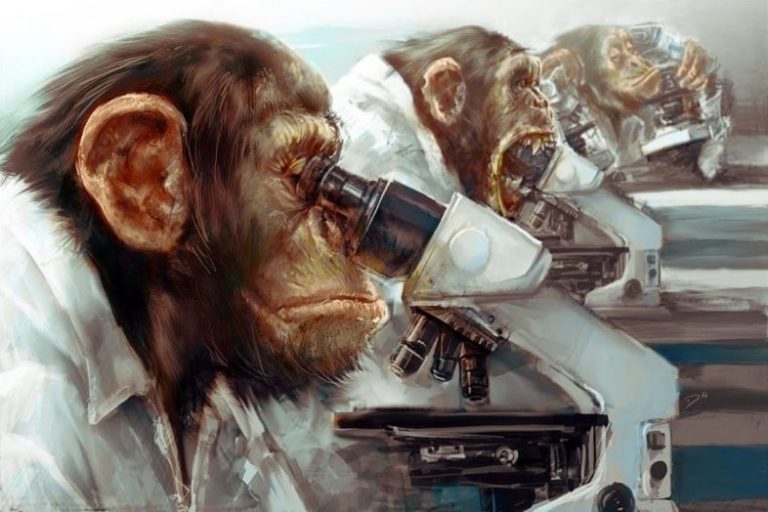 Εξανθρωπίζουν Πιθήκους