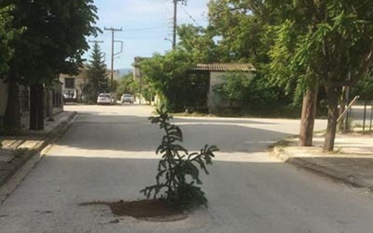Φύτεψαν… δέντρο για να καλύψουν λακκούβα σε δρόμου στη Θεσσαλονίκη!