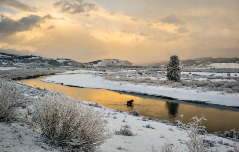 Χιόνισε στο Yellowstone την πρώτη μέρα του καλοκαιριού