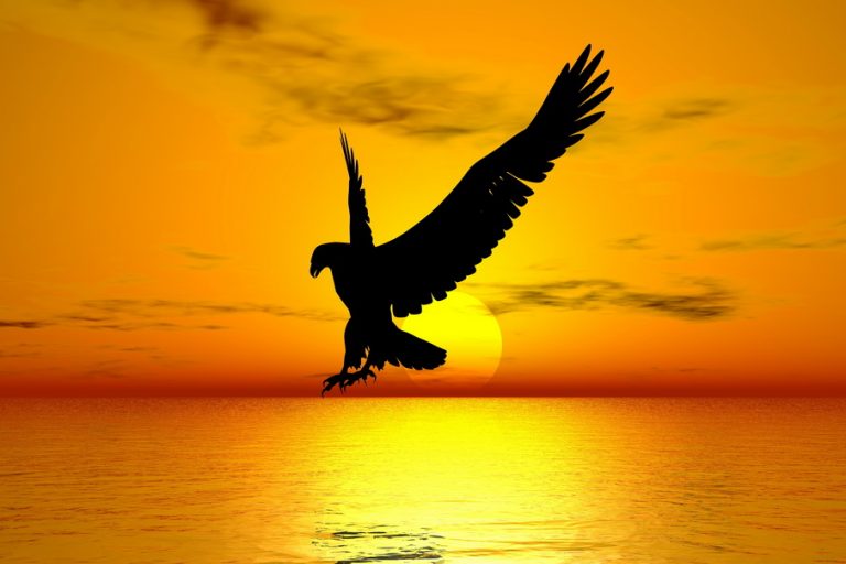 Αποφασίστηκε δημιουργία Πολιτικού Κινήματος από τον Stranger