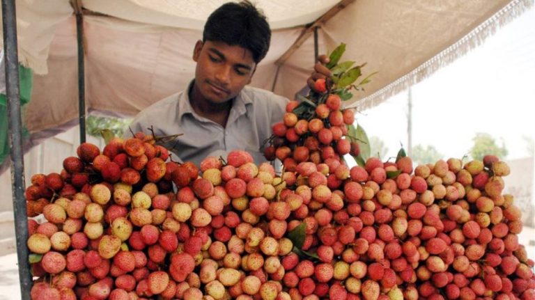 Ινδία: Σε 10 ημέρες πέθαναν 31 παιδιά από οξεία εγκεφαλίτιδα