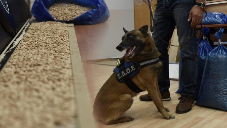 Γερή μπάζα 30 εκατ. χαπιών Captagon