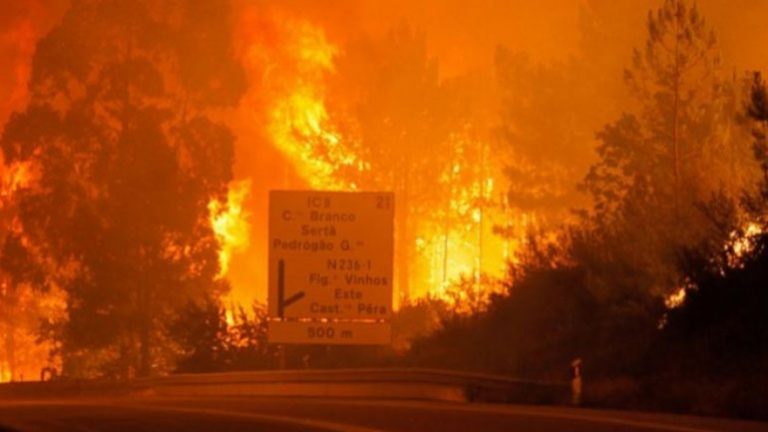 Πορτογαλία: Είκοσι τραυματίες από τις μεγάλες πυρκαγιές στο κέντρο της χώρας