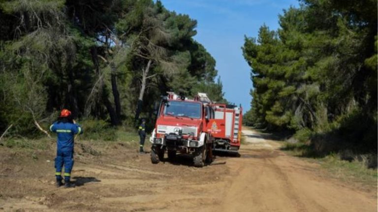 Φύλακας πρόλαβε… εμπρηστές στην Εύβοια!