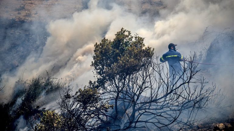 Εύβοια: Πύρινος εφιάλτης – Νέα φωτιά στο Τραχήλι