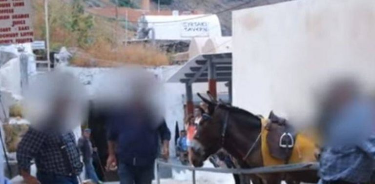 Φιλοζωϊκή οργάνωση καταγγέλλει επίθεση στη Σαντορίνη γιατί κατέγραφε βασανισμό γαϊδουριών
