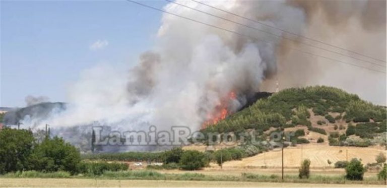 Φθιώτιδα: Μεγάλη φωτιά κοντά σε οικισμούς στη Μακρακώμη – Ενισχύθηκαν οι δυνάμεις της Πυροσβεστικής