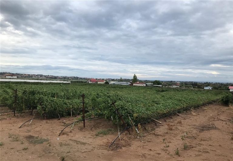 Θεομηνία στην Χαλκιδική: «Τέτοια καταστροφή δεν έχουμε ξαναδεί» λένε οι αγρότες