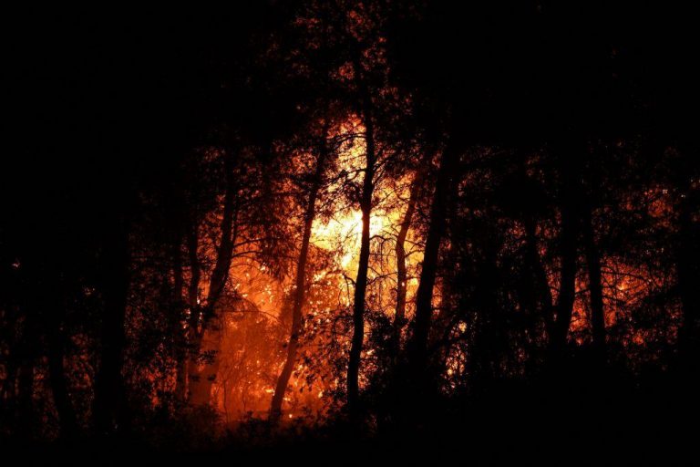 Αγρυπνοι κάτοικοι και πυροσβέστες στην Εύβοια – Δεύτερη νύχτα μάχης με τον πύρινο εφιάλτη