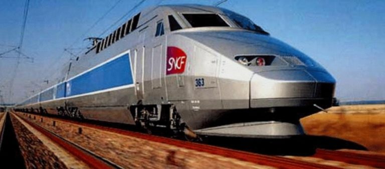 Γαλλία: Τρένο συγκρούστηκε με αγελάδες – Σκοτώθηκαν ακαριαία 16 αγελάδες