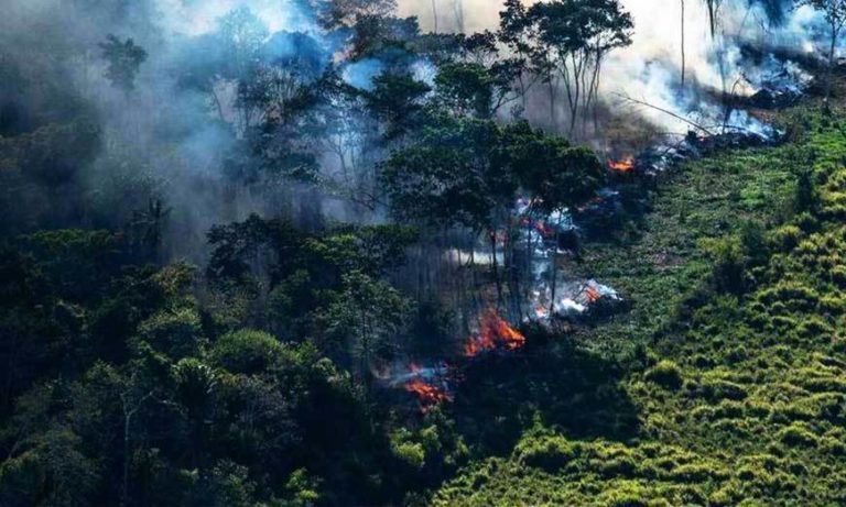 Αμαζόνιος: Οι φωτιές εξαφάνισαν φυλή αυτόχθονων που ανακαλύφθηκε πρόσφατα