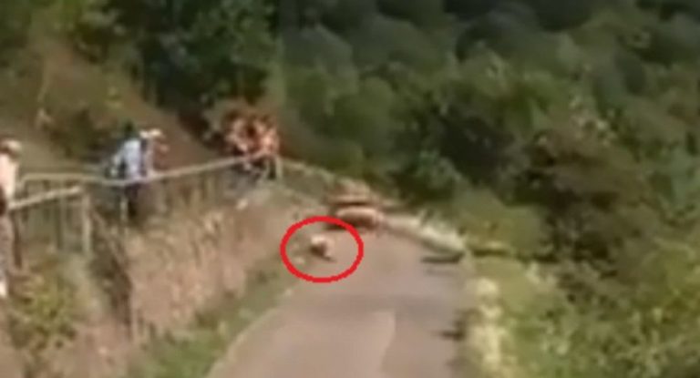 Άνδρας πέφτει στην πίστα ράλι και κοψοχολιάζει τους πάντες