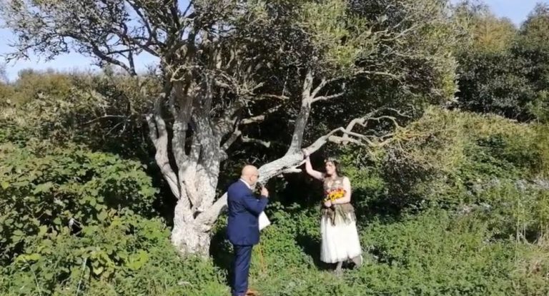 Γυναίκα παντρεύτηκε δέντρο για… καλό σκοπό