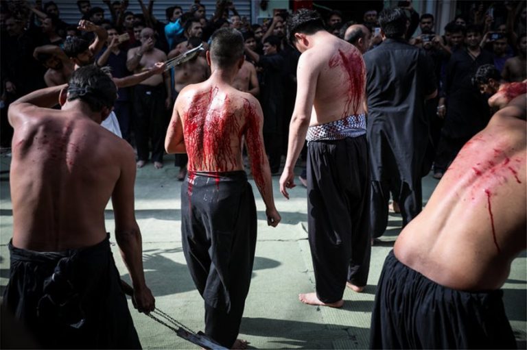 ΤΟ ΞΥΛΟ ΤΗΣ ΑΡΚΟΥΔΑΣ, S&M ΜΕ ΣΟΣ ΙΣΛΑΜ