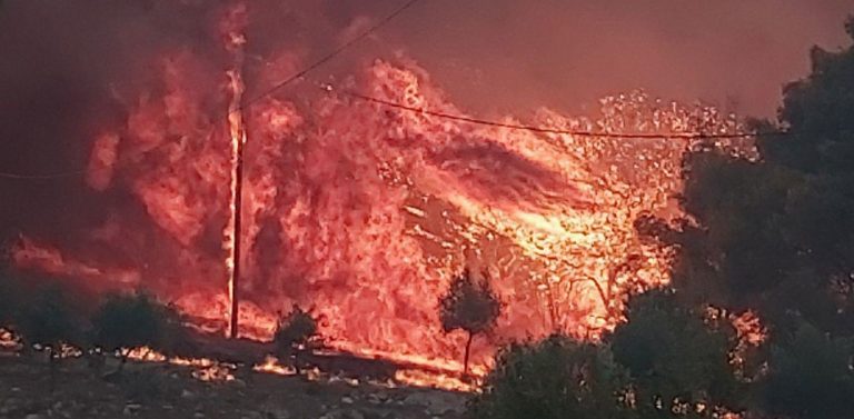 Ζάκυνθος: Καταγγελίες για εμπρησμό, άρον-άρον άδειασαν τα σπίτια οι κάτοικοι