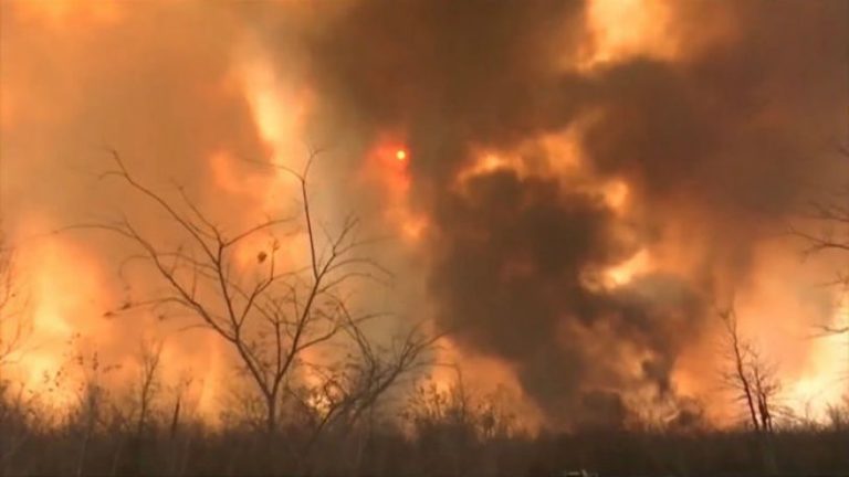 Ποιοι και πως επωφελούνται από την καταστροφή Αμαζόνιου