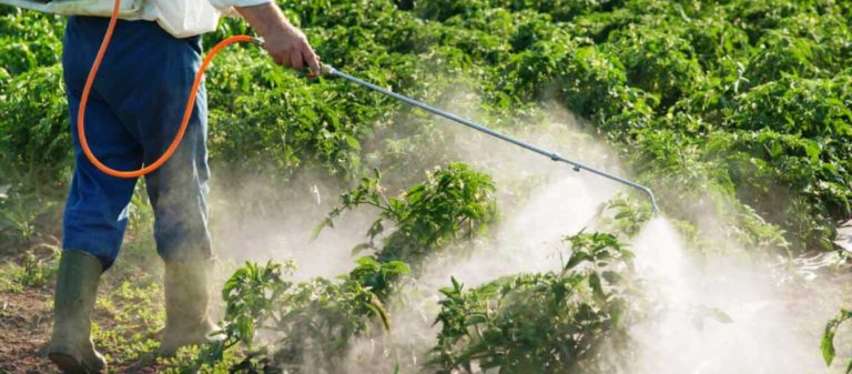 Η γερμανική κυβέρνηση θα απαγορεύσει από το τέλος του 2023 το ζιζανιοκτόνο γλυφοσάτη