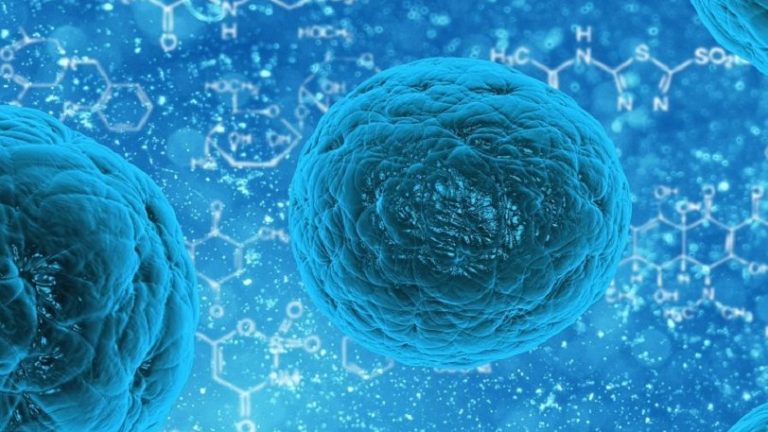 Εφιαλτικό σενάριο: Ασθένεια που μοιάζει με γρίπη μπορεί να σκοτώσει 80 εκατ. ανθρώπους σε 36 ώρες