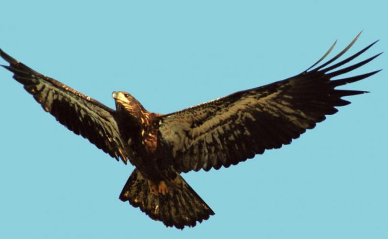 Θα κλαις παλι και θα μου ζητας να σε λυπηθω γιατι εισαι ορφανος ..