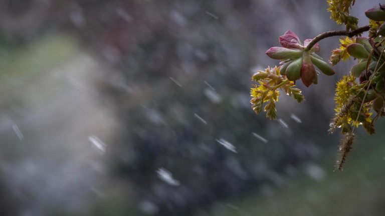 Καιρός: Χειμωνιάζει απότομα – Βροχές, καταιγίδες και πτώση θερμοκρασίας