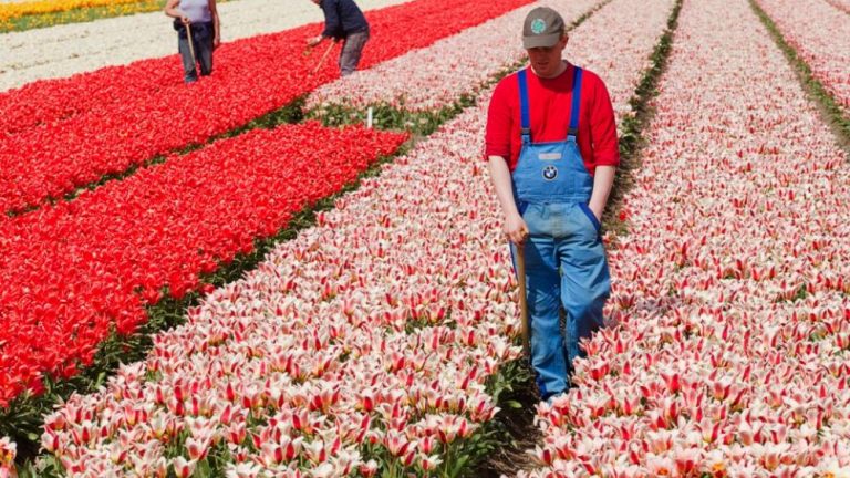 Καταρρέει το καλύτερο συνταξιοδοτικό σύστημα του κόσμου
