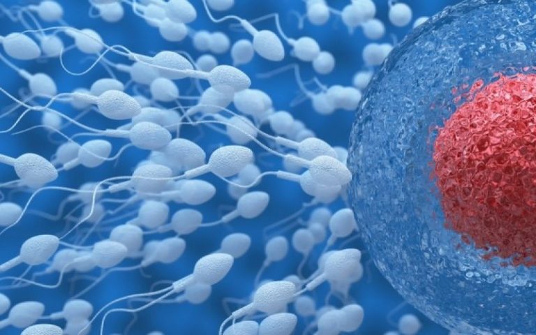 ΚΑΡΜΑΚΟΥΛΗΣ: ΘΕΛΑΤΕ ΑΝΑΠΤΥΞΗ;;; ΠΑΡΤΕ ΑΝΑΠΤΥΞΗ