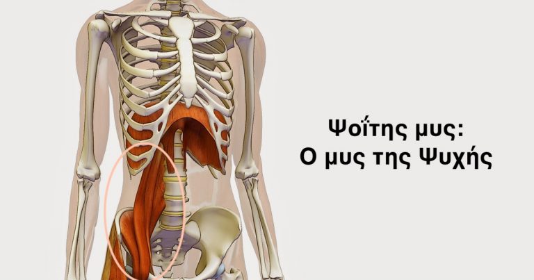 Ψοΐτης μυς: Ο μυς της Ψυχής