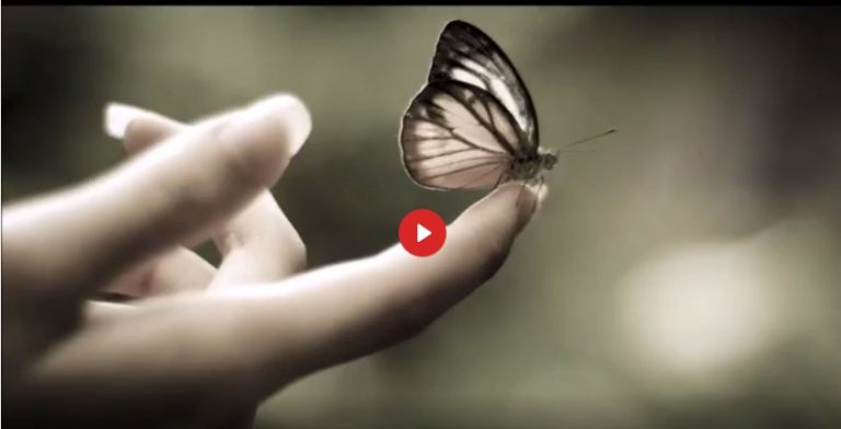 Μία Συζήτηση Για Τις Εκτρώσεις.