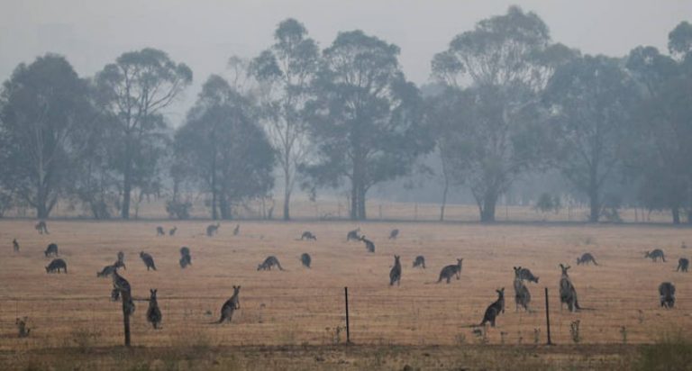 Χάος στην Αυστραλία: Αναγκαστική εκκένωση περιοχών λόγω των πυρκαγιών
