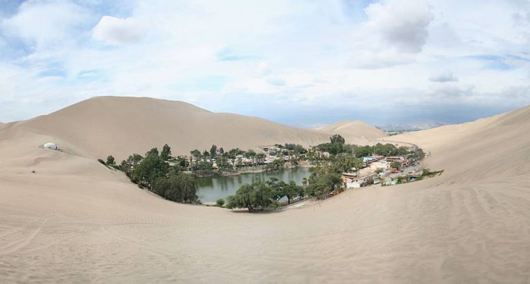 Οαση της Ερήμου..