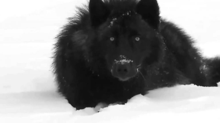 Πρεπει να γυρισεις …Τωρα !