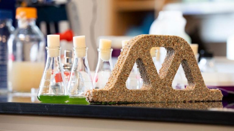 Δημιουργήθηκε «ζωντανό» μπετόν από βακτήρια και άμμο που…γεννάει νέα τούβλα