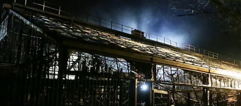 Πυρκαγιά εξαιτίας των πυροτεχνημάτων σε ζωολογικό κήπο στη Γερμανία: Δεκάδες νεκρές μαϊμούδες