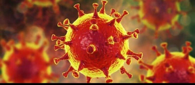 Γαλλία: Πρώτη μετάδοση του κορωνοϊού στην Ευρώπη χωρίς καμία σχέση με την Κίνα!