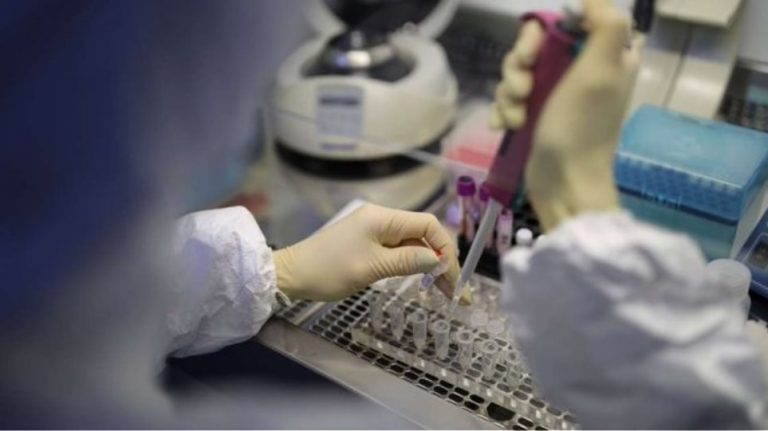 Κορονοϊός: Ο ΠΟΥ κάνει λόγο για τις πρώτες ενδεχόμενες μεταδόσεις από ζώο σε άνθρωπο στην Ολλανδία