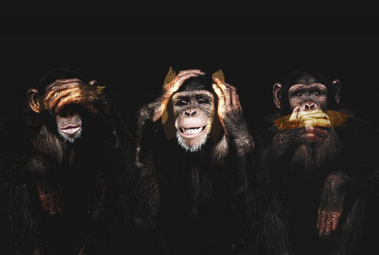 ΤΑ ΠΙΘΙΚΙΑ ΤΗΣ ΗΔΟΝΗΣ