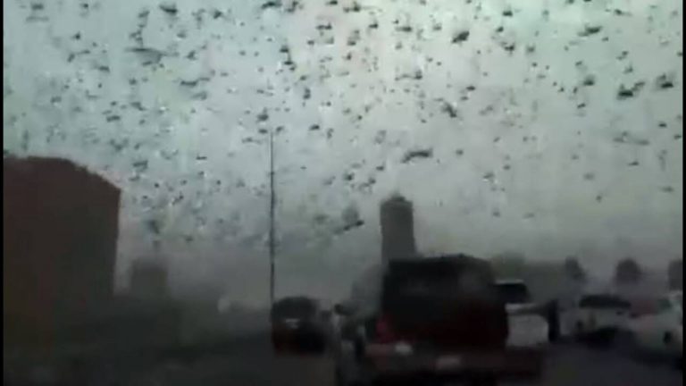 Επιδρομή… ακρίδων στο Μπαχρέιν – «Μαύρισε» ο ουρανός